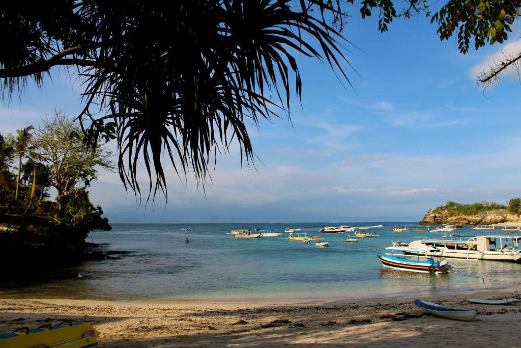 Hotel Molamola House Lembongan Pokoj fotografie